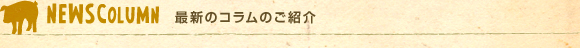 最新のコラムのご紹介